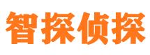 墨江调查事务所